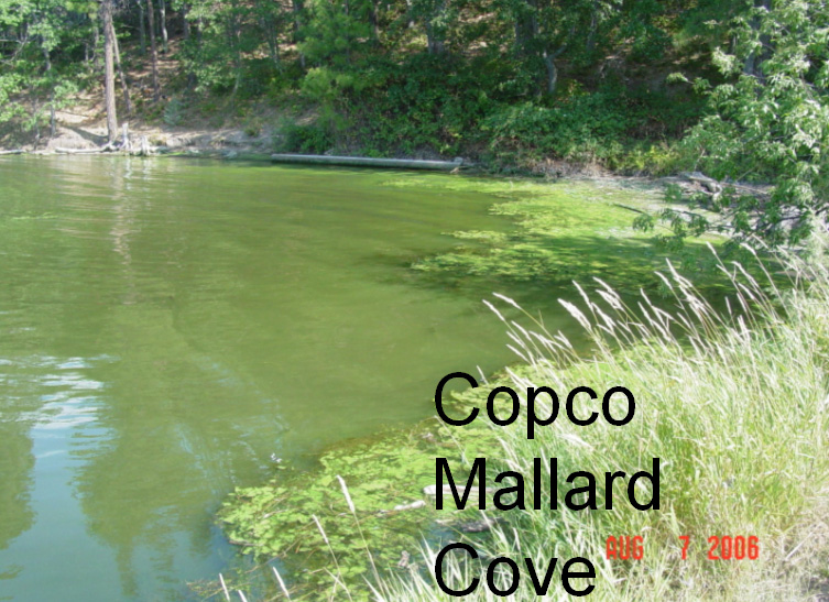 Copco Reservoir at Mallard Cove