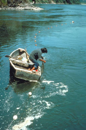 Indian fisherman with gillnet
