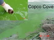 Copco cove