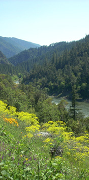 Mid Klamath River