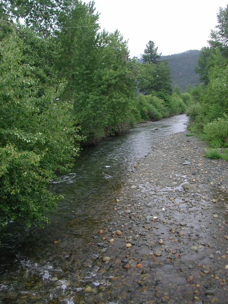 Shakleford Creek