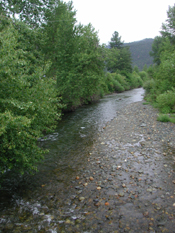 Shackleford Creek
