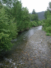 Shackleford Creek