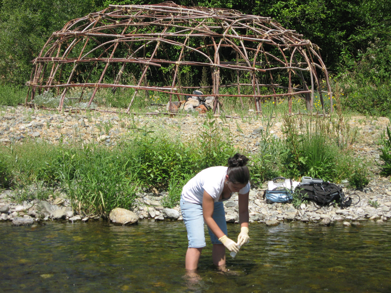 sampling lower Shackleford Creek