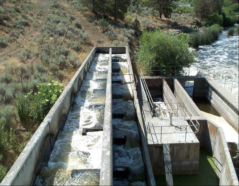 Fish ladder