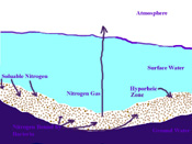 hyporheic zone 