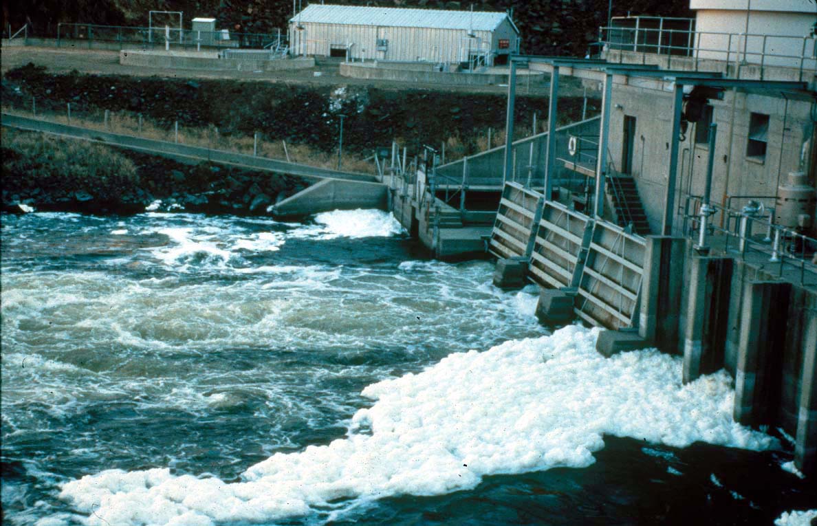 Iron Gate outflow