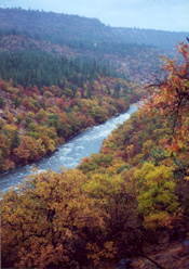 Klamath River above Copco 