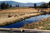 Shasta River above Louie Road