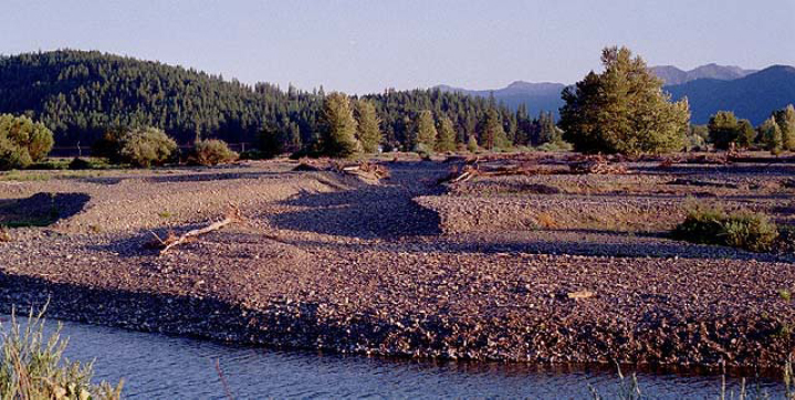 Shackleford Creek 