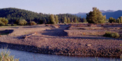 Shakleford Creek dry